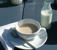 Диета «Зеленый чай с молоком»: один день или целая неделя?